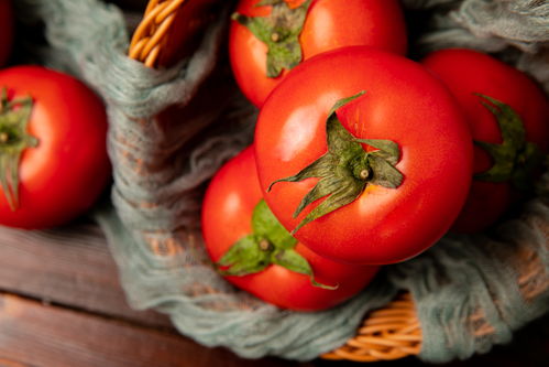 番茄 從紅潤果實到營養(yǎng)餐桌——兼談微生物肥料的應用