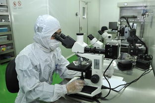 印刷電子材料、技術與應用 計算機信息技術的融合創新